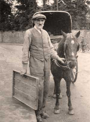 Baker delivering by horse and cart, early 20th Century