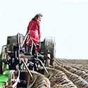 women doing farm work